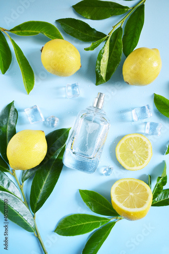 Glass transparent bottle of perfume with yellow lemons, ice cube, water drops and green tree branches on the blue background. Fresh summer unisex smell. Cooling citrus aroma.  
Perfume for hot weather