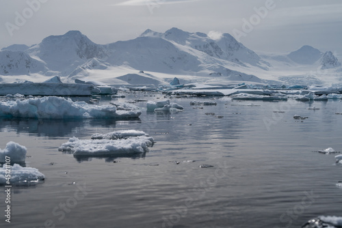 Tranquil icy bay in Antarctica