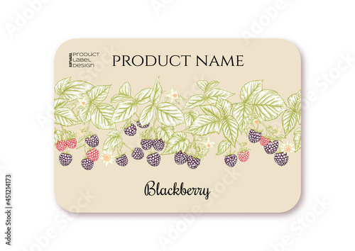 Blackberry. Ripe berries on branch. Template for product label, cosmetic packaging. Easy to edit. Graphic drawing, engraving style. Vector illustration..