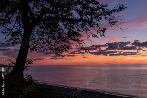 silhouette shoreline tree vibrant colors of a sunset sky