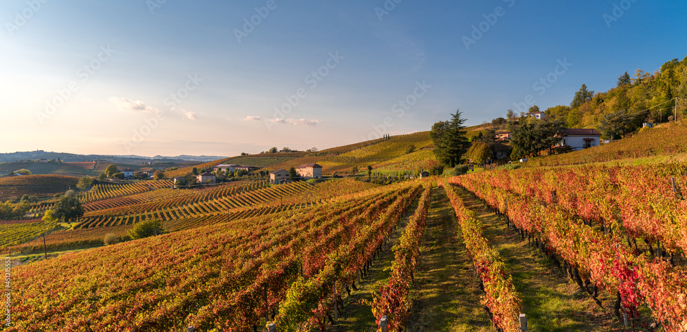 Panorama of the vineyards, in autumn, in the Langhe, Piedmont, Italy