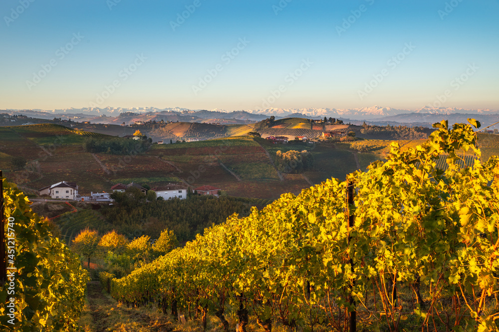 Panorama of the vineyards, in autumn, in the Langhe, Piedmont, Italy