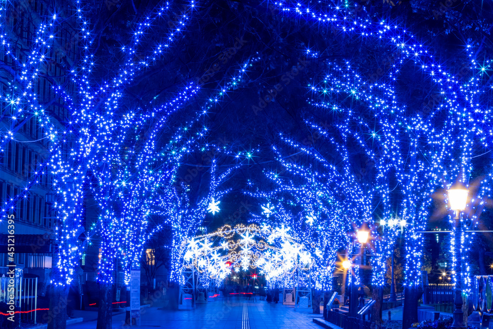 Obraz premium 大阪・淀屋橋のイルミネーション