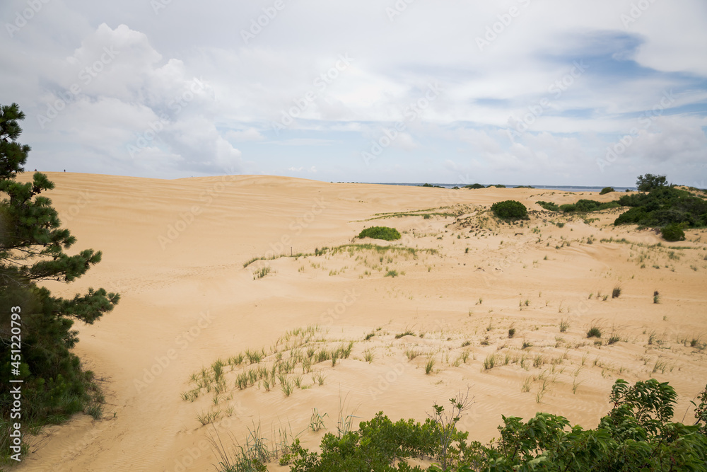 Sand dune landscape with clouds and vegetation. Sand dune landscape with clouds and vegetation.