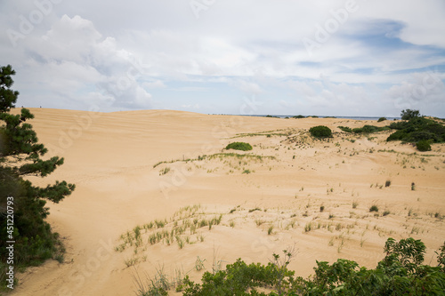 Sand dune landscape with clouds and vegetation.