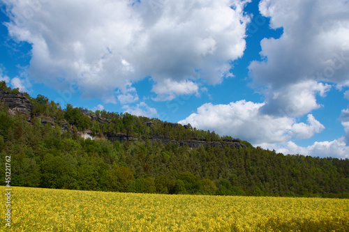 Papststein in der Sächsischen Schweiz im Frühjahr	 photo