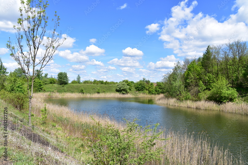 Zespół przyrodniczo-krajobrazowy Żabie Doły, Park, teren rekreacyjny, Zespół przyrodniczo-krajobrazowy Żabie Doły, Park, teren rekreacyjny,