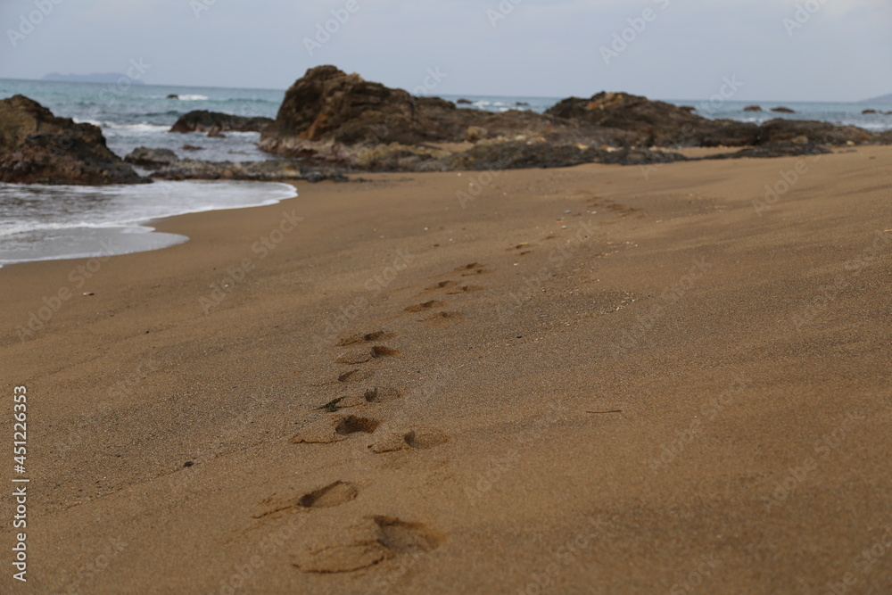 浜辺の足跡