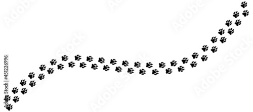 Animal tracks. Animal paw icon. Animal footprints form road, vector.