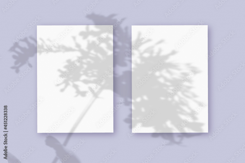 Natural light casts shadows from the plant on 2 vertical sheets of white textured paper format, lying on a violet textured background. Mockup