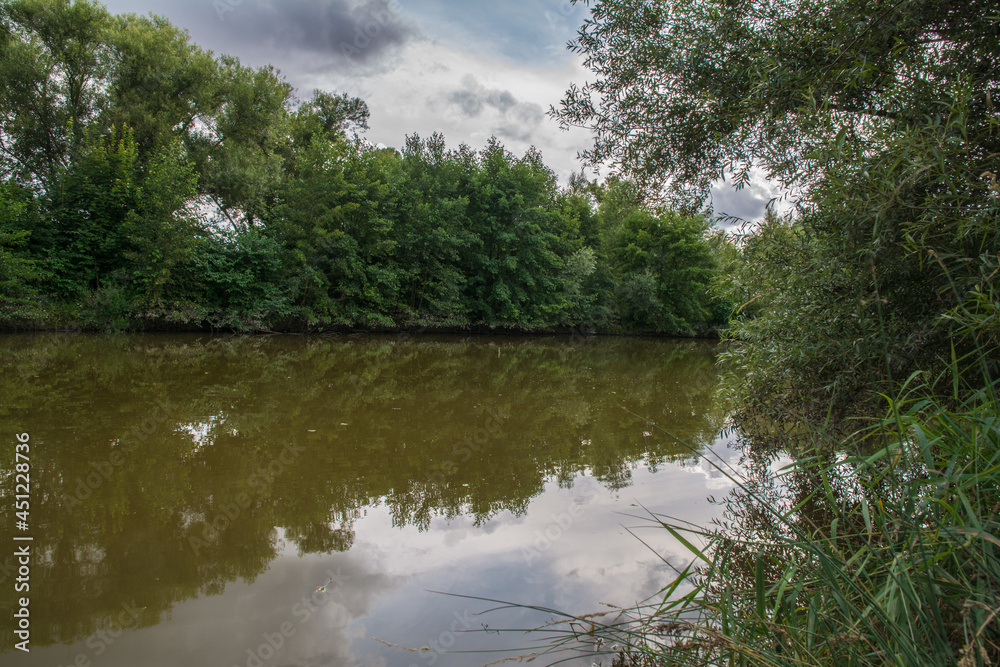 rheinhessische sommerlandschaft