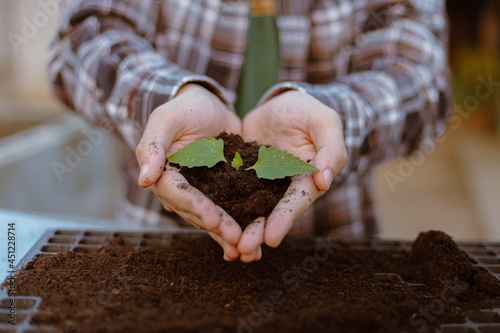 Gardening concept two big hands holding a live plant with black soil showing in front of a camera