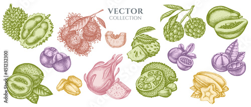 Composition design of pastel papaya, guava, passion fruit, starfruit, durian, rambutan, pitaya, jackfruit, sugar-apple, soursop, mangosteen