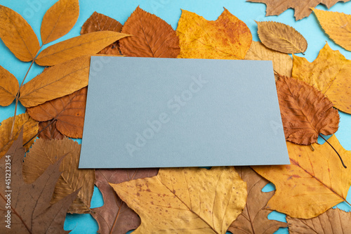 Composition with yellow and brown autumn leaves and blue paper mockup on blue pastel background. side view, copy space.