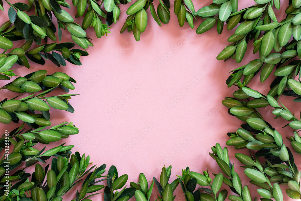 Leaves on pink paper
