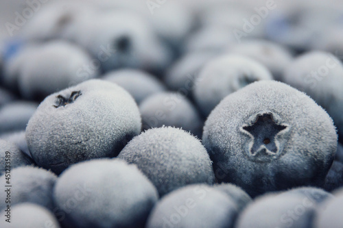 fresh frozen blueberry close-up photo