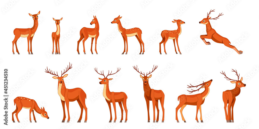 Cute deer with antlers, vector illustration set. Standing, jumping and  grazing. Cartoon flat style drawing isolated on a white background Stock  Vector | Adobe Stock
