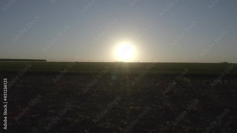 bean farming bean farming