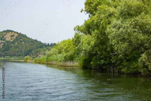 Summer view on the picturesque river. Beautiful  green and lush shore. Trees and plants near the water. Landscape on the natural park. Mountains and blue sky on the background.