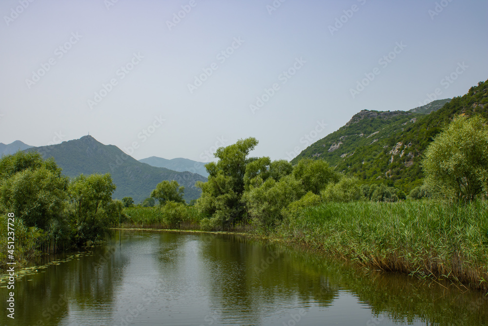 Summer view on the picturesque river. Beautiful, green and lush shore. Trees and plants near the water. Landscape on the natural park. Mountains and blue sky on the background.