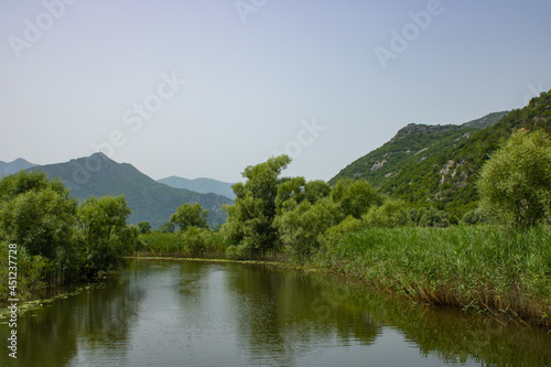 Summer view on the picturesque river. Beautiful, green and lush shore. Trees and plants near the water. Landscape on the natural park. Mountains and blue sky on the background.