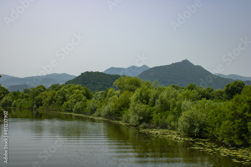Summer view on the picturesque river. Beautiful, green and lush shore. Trees and plants near the water. Landscape on the natural park. Mountains and blue sky on the background.