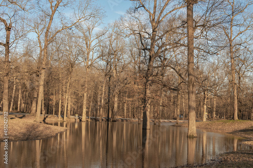 River in winter with bald cypress trees © Rachelle Yingling