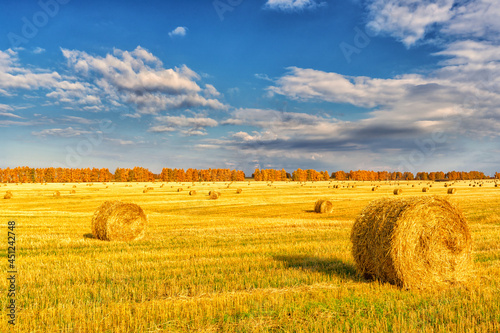 Picturesque autumn landscape with beveled field and straw bales. Beautiful agriculture background
