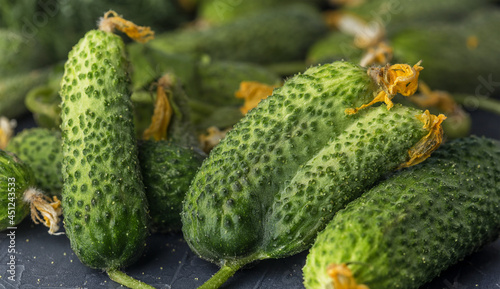 background of young fresh and green cucumbers