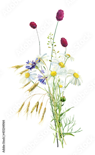 Watercolor bouquet of colorful flowers and herbs