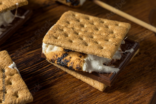 Sweet Marshmallow and Chocolate Smores