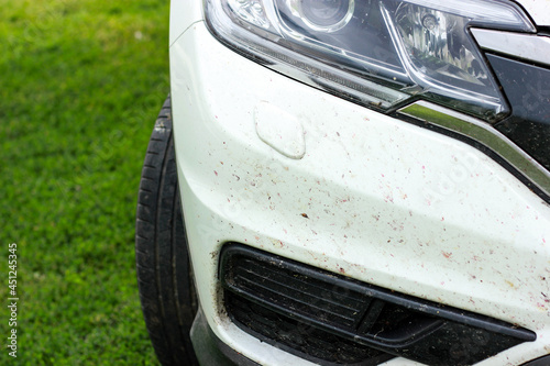 Insects on the bumper of the car. Dirty car from insects