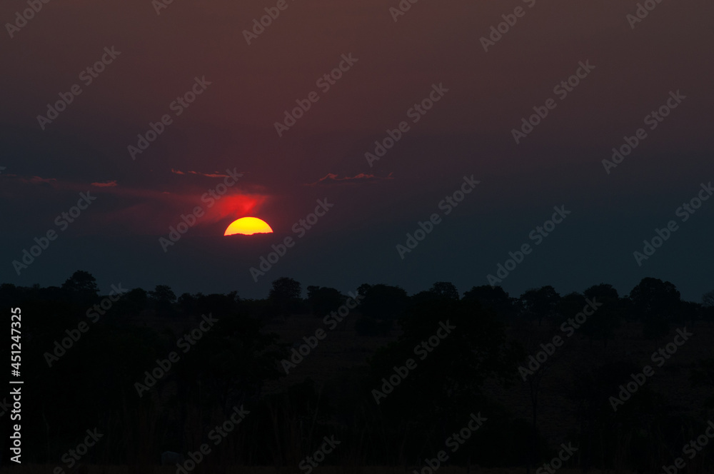 dramatic sunset over forest dramatic sunset over forest