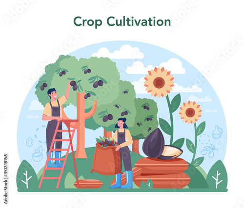 Oil extraction or production industry. Vegatable oil: cocoa, olive