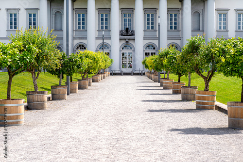 The entrance to the property is lined with pebbles on the road and decorative trees on the sides, columns of a large house in the background.