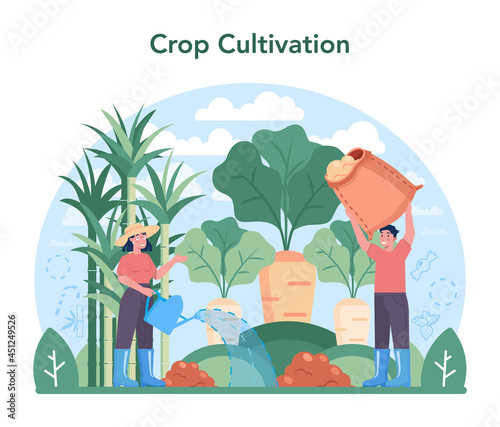 Sugar production industry. Saccharose and fructose extracted