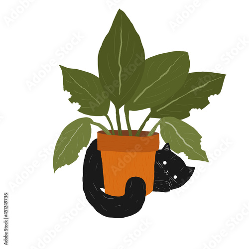 black fluffy fat cute cat and pot plant. black and white hand drawn kitten. kawaii furry pussy. stock vector illustration isolated on white background.