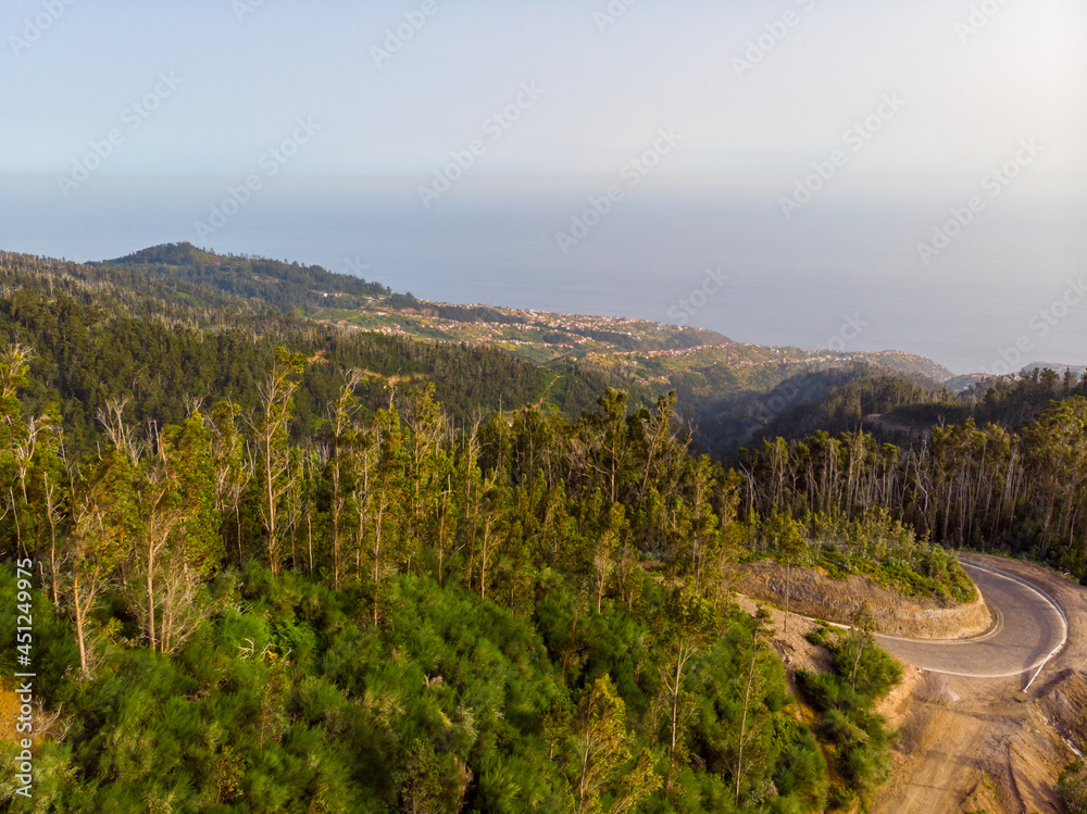 Aerial view of atlantic coastal city of Funchal, Madeira.