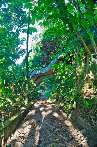 Abandoned slide in the jungle. veil © FernandoL