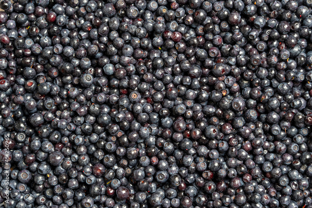 Surface covered with a layer of wild forest blueberry, close up Surface covered with a layer of wild forest blueberry, close up