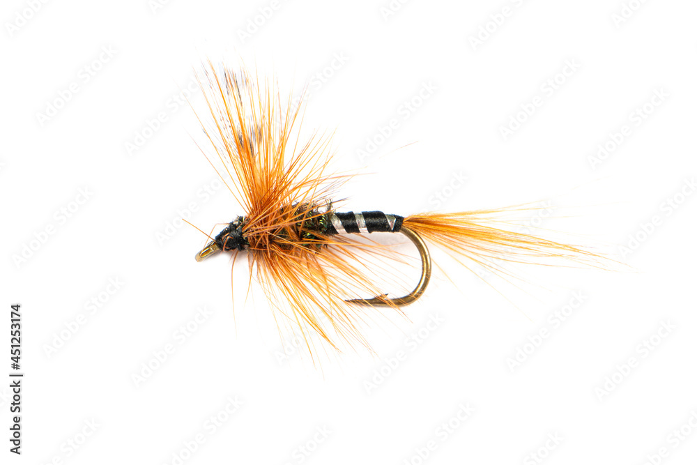 Obraz premium Macro shot colorful fishing fly isolated on a white background. Hand made fly fishing flies. Fluffy fly fishing hook isolated.