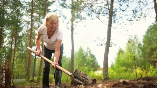 Elderly senior gardener woman digging caring ground level at summer farm countryside outdoors using garden tools rake and shovel. Farming, gardening, agriculture, retired active old age people concept