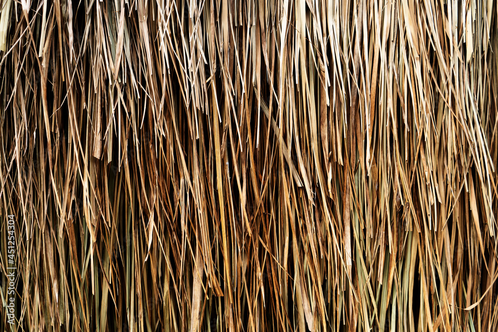Natural hanging straw for background or backdrop Natural hanging straw for background or backdrop
