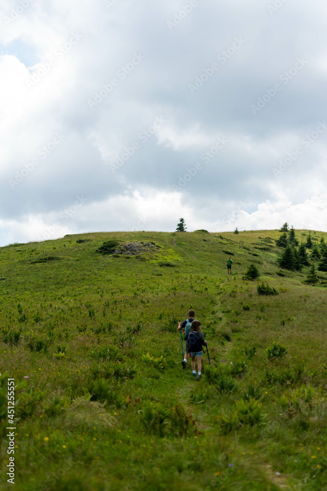 Fototapeta premium Children hiking in mountains or forest with sport hiking shoes. Girls are walking trough forest path wearing mountain boots and walking sticks.