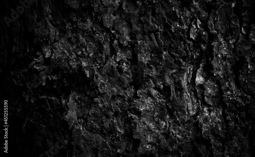 Black tree bark background Natural beautiful old tree bark texture According to the age of the tree with beautiful bark during the summer