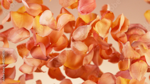 Flying rose petals isolated on orange background.