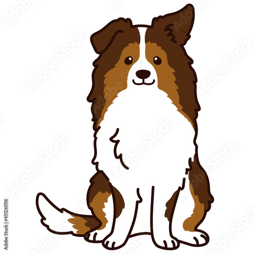 Outlined simple Shetland Sheepdog sitting in front view