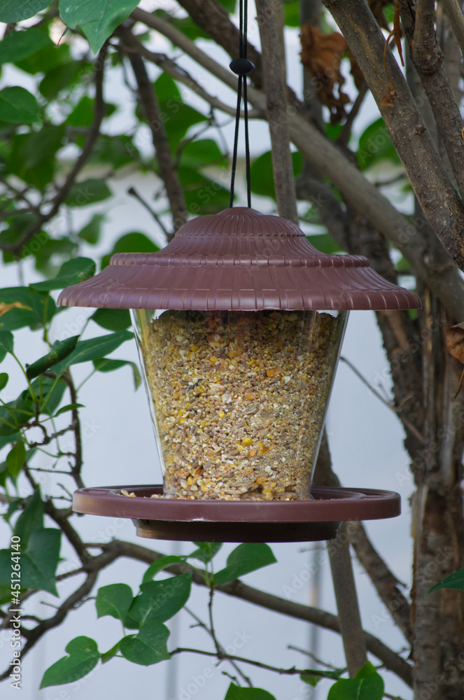 A Full Bird Feeder in a Garden A Full Bird Feeder in a Garden