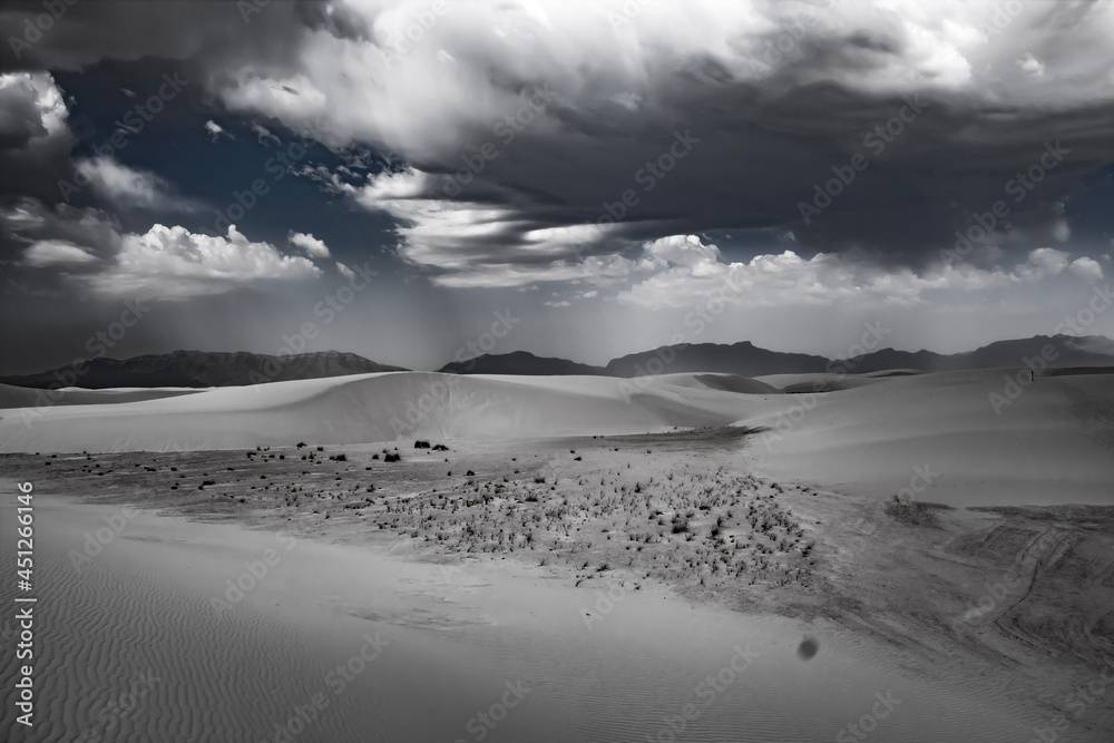 snow covered mountains