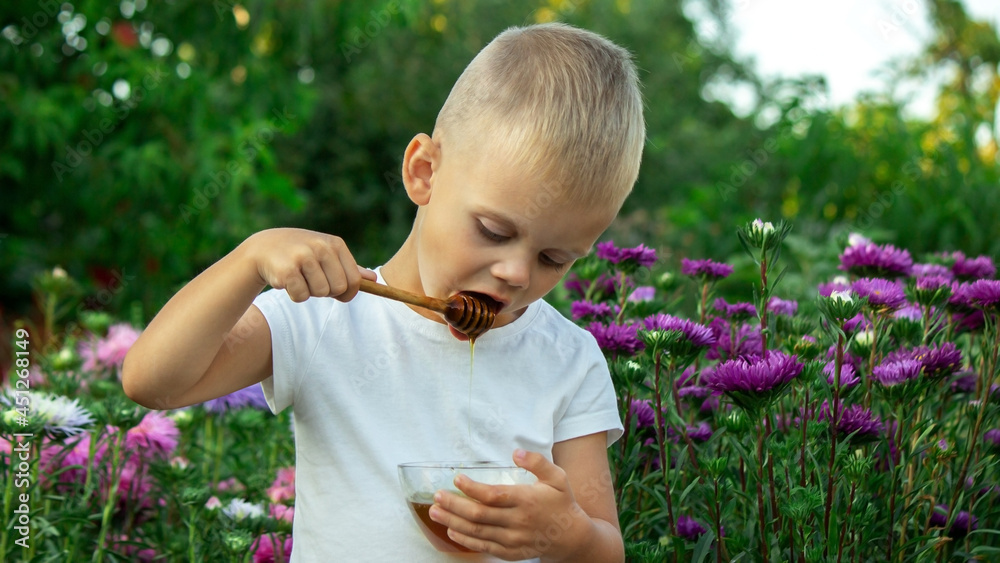 child eats honey in the garden. child eats honey in the garden.